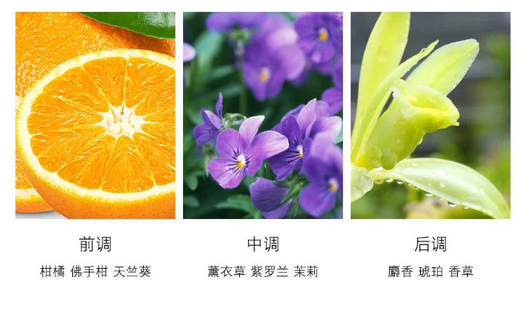 Brand Perfume Cologne Men Perfume Spray Flirting Pheromone Long Lasting Floral Vibrant Citrus Light Fragrance Gentleman Gift