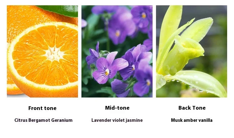 Brand Perfume Cologne Men Perfume Spray Flirting Pheromone Long Lasting Floral Vibrant Citrus Light Fragrance Gentleman Gift